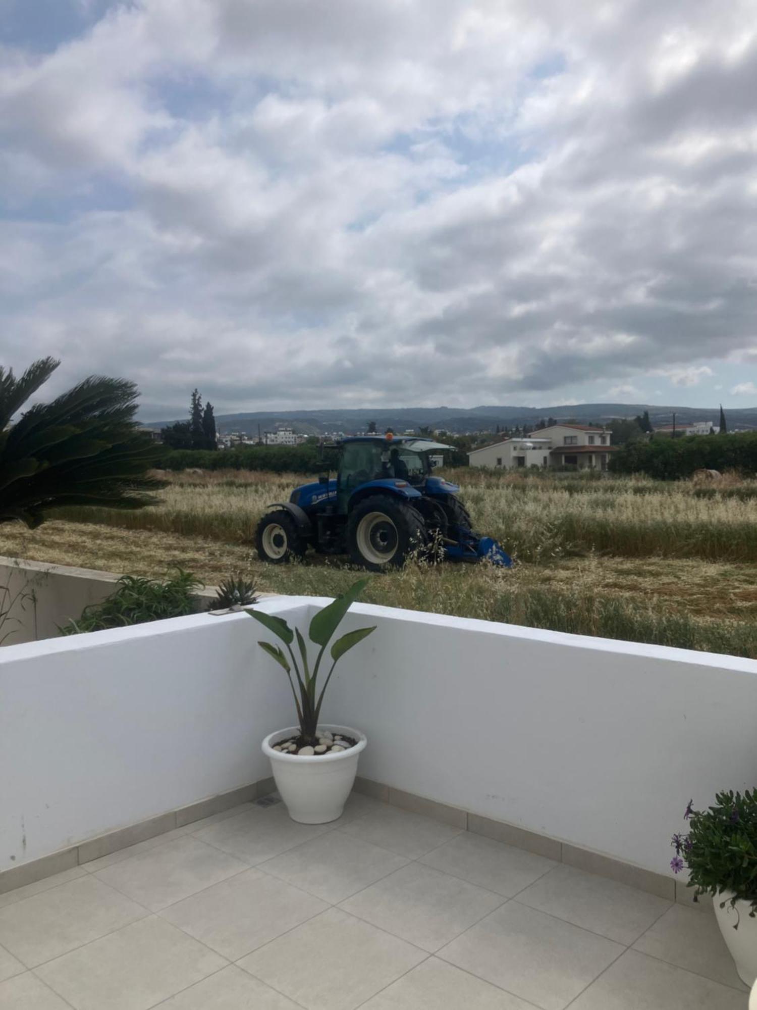 Andromeda Beach House Полис Экстерьер фото
